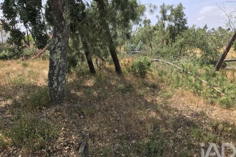 Grond in Ourem, Santarem, Ourem - € 39.950 | Ref: 962280 - foto 18