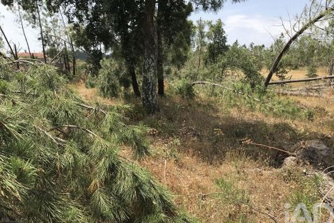 Grond in Ourem, Santarem, Ourem - € 39.950 | Ref: 962280 - foto 19