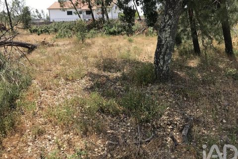 Grond in Ourem, Santarem, Ourem - € 39.950 | Ref: 962280 - foto 20