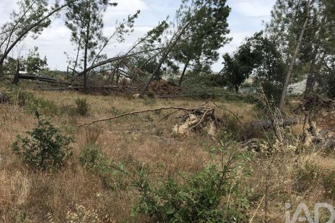 Grond in Ourem, Santarem, Ourem - € 39.950 | Ref: 962280 - foto 21