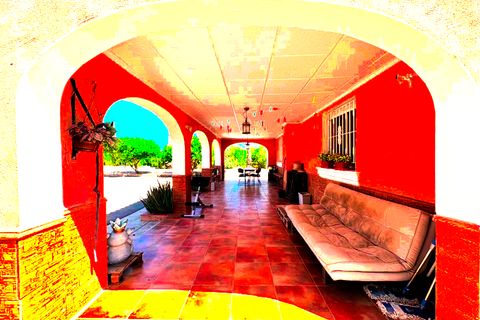Finca i Dolores, Alicante, Dolores - € 320.000 | Ref: MCO-83294 - foto 21