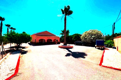 Finca i Dolores, Alicante, Dolores - € 320.000 | Ref: MCO-83294 - foto 26