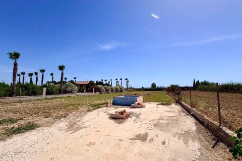 Finca i Dolores, Alicante, Dolores - € 320.000 | Ref: MCO-83294 - foto 33