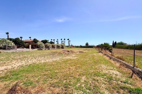 Finca i Dolores, Alicante, Dolores - € 320.000 | Ref: MCO-83294 - foto 34