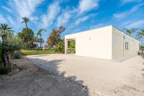 Villa i Elche, Alicante, Elche - € 950.000 | Ref: ALI70424 - foto 49