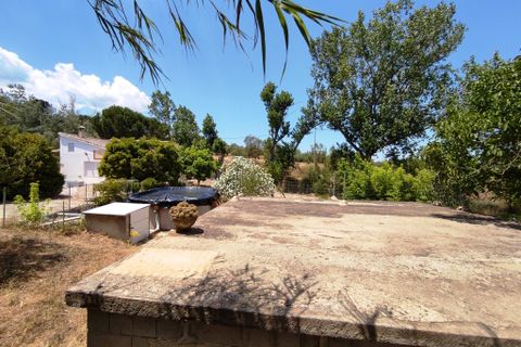 Landejendom i Benifallim, Alicante, Benifallim - € 145.000 | Ref: 3025 - foto 31