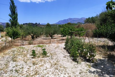 Landejendom i Benifallim, Alicante, Benifallim - € 145.000 | Ref: 3025 - foto 32