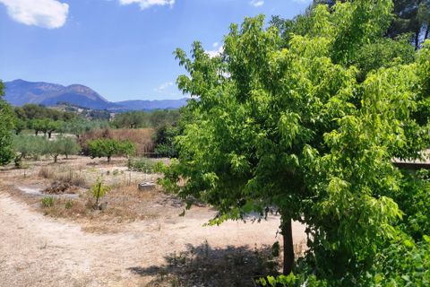 Landejendom i Benifallim, Alicante, Benifallim - € 145.000 | Ref: 3025 - foto 33