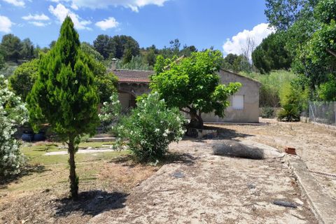 Landejendom i Benifallim, Alicante, Benifallim - € 145.000 | Ref: 3025 - foto 38