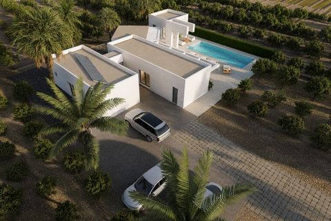 Villa en Benejuzar, Alicante, Benejuzar - € 995.000 | Ref: SPS162642 - photo 10