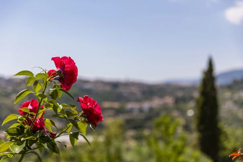 Villa i Vence, Alpes-Maritimes, Vence - € 2.195.000 | Ref: HH-16225601 - foto 15
