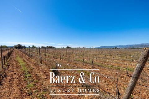 Villa i Binissalem, Mallorca, Binissalem - € 4.500.000 | Ref: 49128 - foto 24