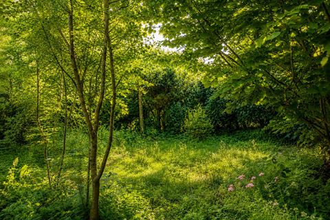 Villa i Bellême, Orne, Bellême - € 107.600 | Ref: 456451BROS - foto 10