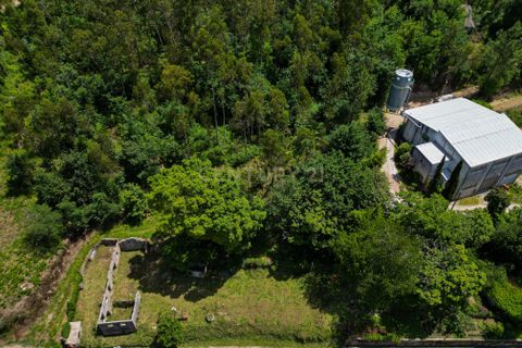 Tomt i Arentim e Cunha, Braga, Arentim e Cunha - € 80 000 | Ref: C0256-03529 - foto 2