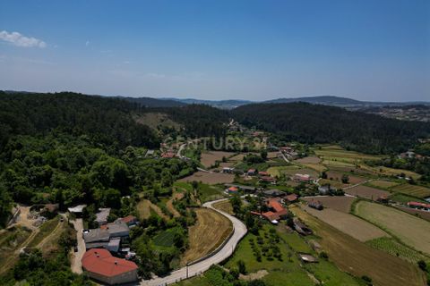 Tomt i Arentim e Cunha, Braga, Arentim e Cunha - € 80 000 | Ref: C0256-03529 - foto 3