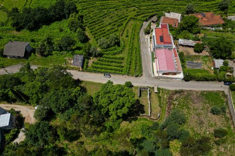 Tomt i Arentim e Cunha, Braga, Arentim e Cunha - € 80 000 | Ref: C0256-03529 - foto 4