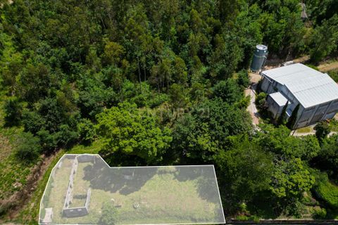 Tomt i Arentim e Cunha, Braga, Arentim e Cunha - € 80 000 | Ref: C0256-03529 - foto 5