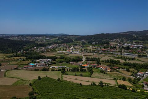 Tomt i Arentim e Cunha, Braga, Arentim e Cunha - € 80 000 | Ref: C0256-03529 - foto 7
