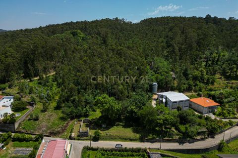 Tomt i Arentim e Cunha, Braga, Arentim e Cunha - € 80 000 | Ref: C0256-03529 - foto 10