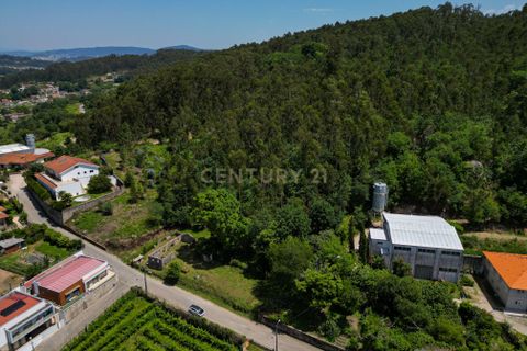 Tomt i Arentim e Cunha, Braga, Arentim e Cunha - € 80 000 | Ref: C0256-03529 - foto 11