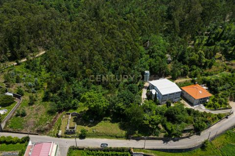 Tomt i Arentim e Cunha, Braga, Arentim e Cunha - € 80 000 | Ref: C0256-03529 - foto 12