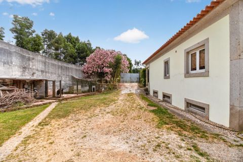 Villa i Ponte de Lima, Viana do Castelo, Ponte de Lima - € 450.000 | Ref: C0256-03535 - foto 39