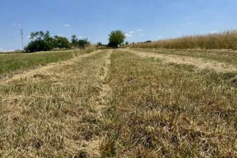 Grond in Haraucourt, Meurthe-et-Moselle, Haraucourt - € 36.000 | Ref: V762 - foto 2