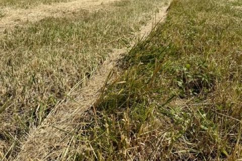 Grond in Haraucourt, Meurthe-et-Moselle, Haraucourt - € 36.000 | Ref: V762 - foto 3
