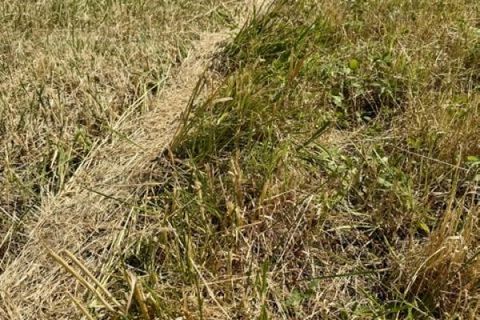 Grond in Haraucourt, Meurthe-et-Moselle, Haraucourt - € 36.000 | Ref: V762 - foto 4