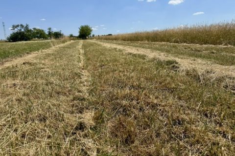 Grond in Haraucourt, Meurthe-et-Moselle, Haraucourt - € 36.000 | Ref: V762 - foto 5