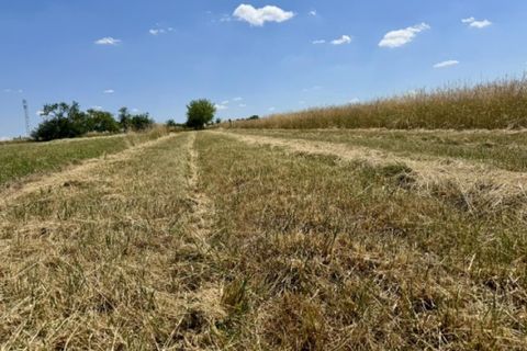 Grond in Haraucourt, Meurthe-et-Moselle, Haraucourt - € 36.000 | Ref: V762 - foto 6