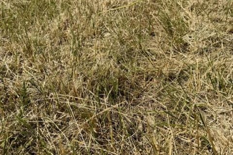 Grond in Haraucourt, Meurthe-et-Moselle, Haraucourt - € 36.000 | Ref: V762 - foto 7