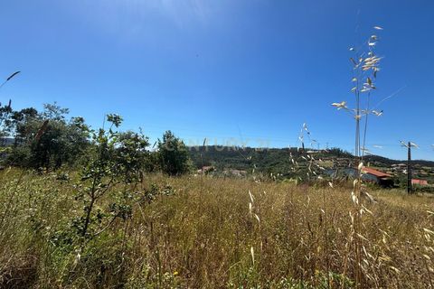 Helårsgrund i Pombal, Leiria, Pombal - € 19.900 | Ref: C0381-00927 - foto 3