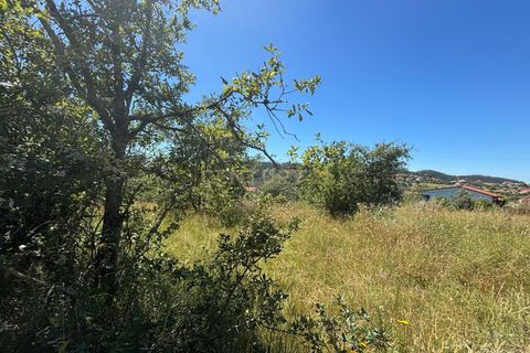 Helårsgrund i Pombal, Leiria, Pombal - € 19.900 | Ref: C0381-00927 - foto 4