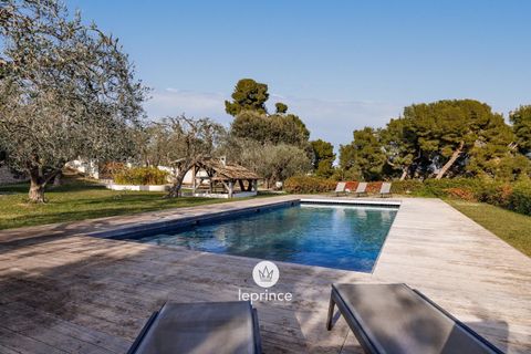 Villa in Nice, Alpes-Maritimes, Nice - € 8,500/month | Ref: IMAB2601 - photo 2
