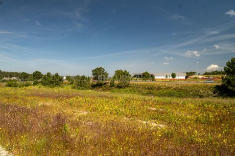Helårsgrund i Obidos, Leiria, Obidos - € 950.000 | Ref: C0506-00438 - foto 41