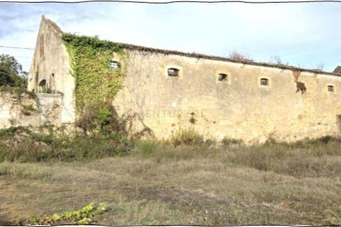 Erhvervsejendom i Alenquer, Lisbon, Alenquer - € 110.000 | Ref: C0506-00693 - foto 8