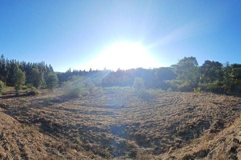 Helårsgrund i Azambuja, Lisbon, Azambuja - € 15.000 | Ref: C0506-00715 - foto 3