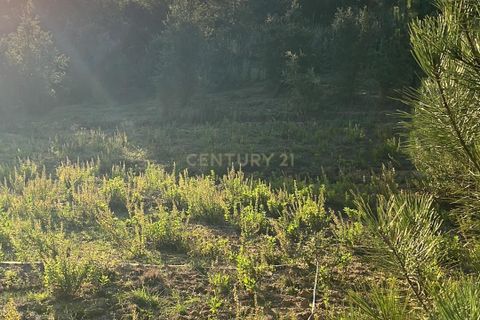 Helårsgrund i Azambuja, Lisbon, Azambuja - € 15.000 | Ref: C0506-00715 - foto 8