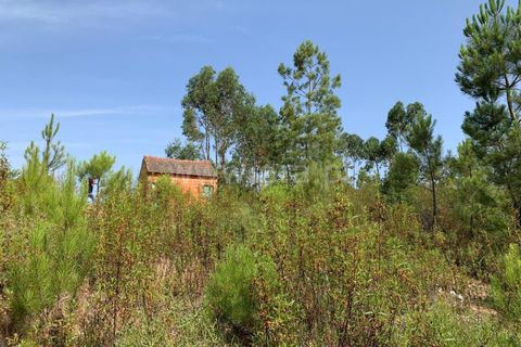 Herregård i Castelo Branco, Castelo Branco, Castelo Branco - € 30 000 | Ref: 102260128 - foto 5