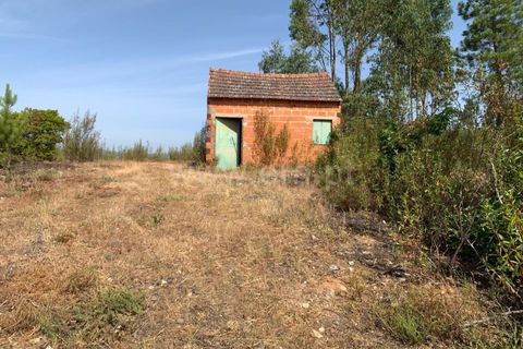 Herregård i Castelo Branco, Castelo Branco, Castelo Branco - € 30 000 | Ref: 102260128 - foto 6