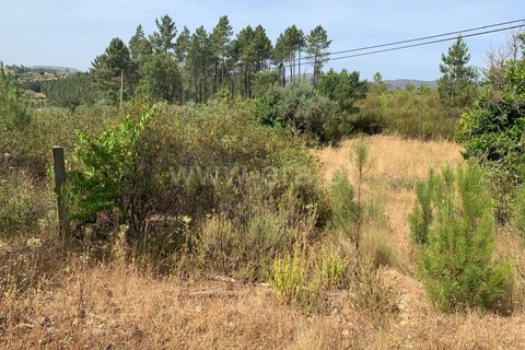Herregård i Castelo Branco, Castelo Branco, Castelo Branco - € 30 000 | Ref: 102260128 - foto 8