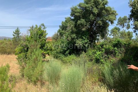 Herregård i Castelo Branco, Castelo Branco, Castelo Branco - € 30 000 | Ref: 102260128 - foto 9