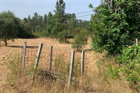 Herregård i Castelo Branco, Castelo Branco, Castelo Branco - € 30 000 | Ref: 102260128 - foto 15