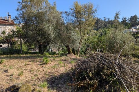 Helårsgrund i Ponte de Lima, Viana do Castelo, Ponte de Lima - € 88.000 | Ref: 254260820 - foto 2