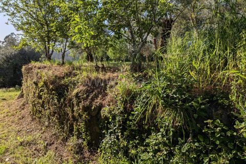 Helårsgrund i Ponte de Lima, Viana do Castelo, Ponte de Lima - € 88.000 | Ref: 254260820 - foto 4