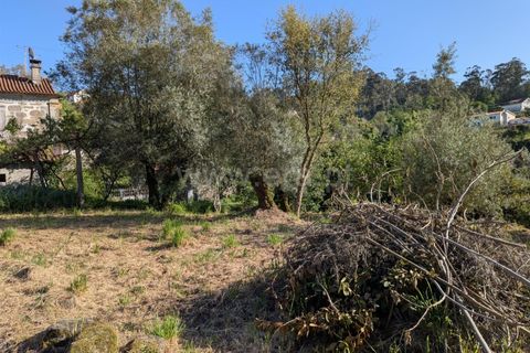 Helårsgrund i Ponte de Lima, Viana do Castelo, Ponte de Lima - € 88.000 | Ref: 254260820 - foto 5