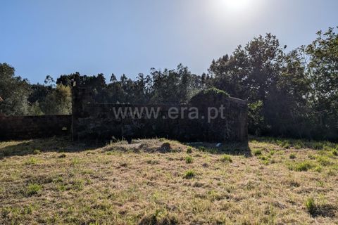 Helårsgrund i Ponte de Lima, Viana do Castelo, Ponte de Lima - € 88.000 | Ref: 254260820 - foto 10