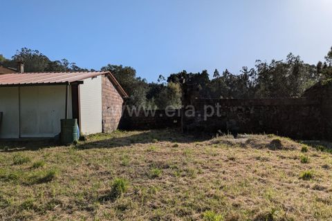Helårsgrund i Ponte de Lima, Viana do Castelo, Ponte de Lima - € 88.000 | Ref: 254260820 - foto 11