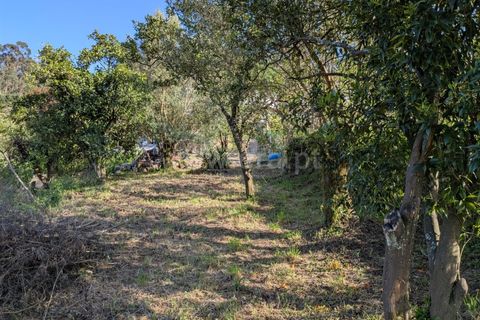 Helårsgrund i Ponte de Lima, Viana do Castelo, Ponte de Lima - € 88.000 | Ref: 254260820 - foto 12